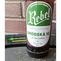 Rebel Brodska 10